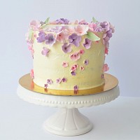 home made Geneva birthday cakes